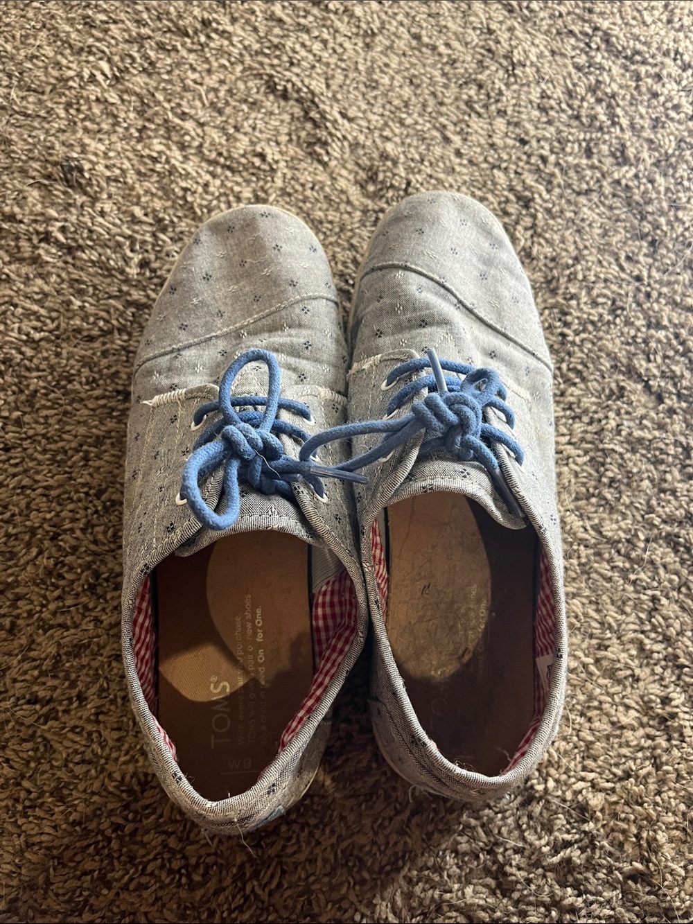 TOMS Women’s Light Gray Canvas Sneakers with Blue Laces